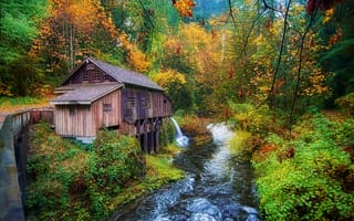 Картинка Cedar Creek Grist Mill, деревья, осень лес, природа, осенние краски, река, США, водяная мельница, Вашингтон, пейзаж