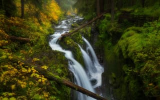 Картинка Sol Duc Falls, течение, Olympic National Park, природа, Washington, пейзаж, осень, деревья, лес, водопад