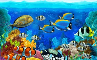 Картинка море, рифы, рыбы