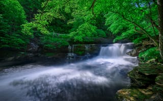 Картинка Водопад, в районе реки Нью-Ривер, течение, Данлуп около Термонда, река, штат Западная Вирджиния, деревья, пейзаж, скалы