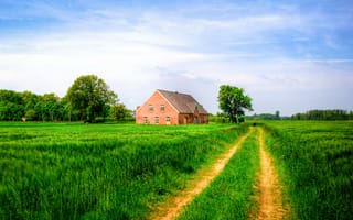 Картинка Нидеррейн, поле, Германия, дорога, трава, пейзаж, домик, деревья, маленькая ферма