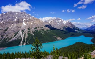 Картинка Peyto Lake, пейзаж, лес, Alberta, облака, деревья, Canada, небо, Banff National Park, природа, горы