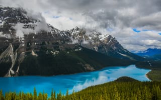 Картинка Peyto Lake, небо, деревья, горы, Banff National Park, природа, облака, лес, Alberta, Canada, пейзаж