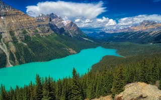 Картинка Peyto Lake, природа, Banff National Park, облака, горы, деревья, лес, небо, Alberta, Canada, пейзаж