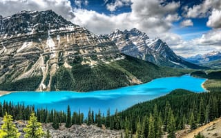 Картинка Peyto Lake, лес, горы, Canada, деревья, небо, природа, пейзаж, Alberta, облака, Banff National Park