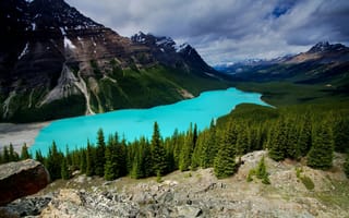 Картинка Peyto Lake, облака, горы, Canada, Alberta, лес, природа, деревья, небо, Banff National Park, пейзаж