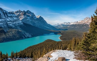 Картинка Peyto Lake, лес, Banff National Park, облака, пейзаж, природа, Canada, деревья, небо, горы, Alberta