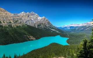 Картинка Peyto Lake, Alberta, деревья, горы, облака, Canada, Banff National Park, пейзаж, природа, лес, небо