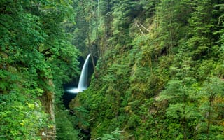 Картинка Metlako Falls, водопад, деревья, ущелье, Columbia River Gorge, пейзаж, лес