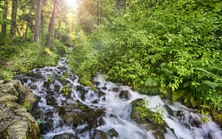 Картинка Wahkeena Creek by Old Columbia River Gorge, водопад, течение, пейзаж, солнечные лучи, природа, лес, Oregon