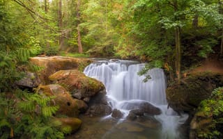 Картинка Водопад, природа, пейзаж, парк Whatcom Falls, Беллингхэме, лес, штат Вашингтон, деревья