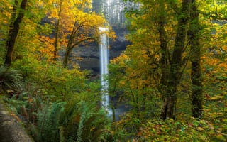 Картинка South Falls, Silver Falls State Park, деревья, пейзаж, Oregon, осенние краски, Autumn, осень, лес, водопад