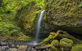 Картинка Водопад, Columbia River Gorge, Ручей Руккель в ущелье реки Колумбия, лес, деревья, пейзаж, природа, камни, Мшистый Грот