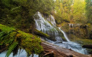 Картинка Водопад Пантера-Крик в Национальном лесу Гиффорд Пинчот, осень, водопад, природа, лес, штат Вашингтон, деревья, пейзаж