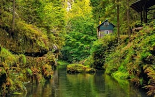 Картинка Edmunds gorge, река, домик, лес, зелёный, скалы, Hrensko, природа, деревья, пейзаж, German Herrnskretschen Czech Republic