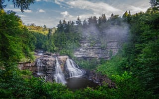 Картинка Blackwater Falls, водопад, деревья, лес, пейзаж, скалы, West Virginia, природа