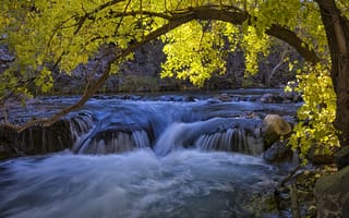Картинка река, осень, водопад, дерево, природа, течение, пейзаж