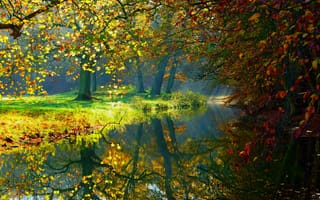 Картинка осень, лес, осенний парк