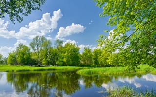 Картинка Весенний пейзаж с реки Нарев, река, весна
