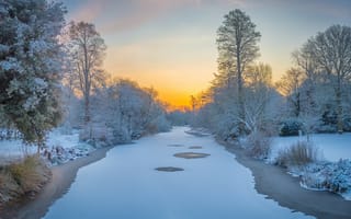 Картинка Сайон Парк Гарденс, Зимнее утро, закат