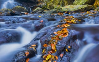 Картинка осень, водопад, течение