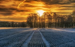 Картинка Зимнее поле на закате дня