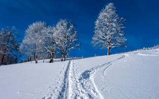 Картинка Прогулка зимой по Санкт-Йохан-им-Понгау