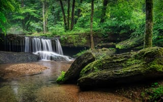 Картинка Теннесси, водопад, лес