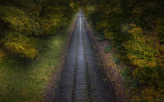 Картинка железная дорога, осень, растения