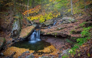 Картинка осенние цвета, водопад, Пенсильвания