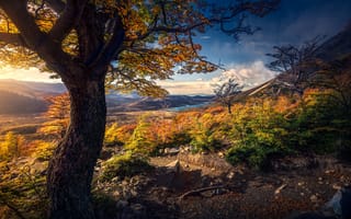 Картинка Золотая осень в горах