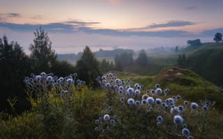Картинка Туманный рассвет на родине Есенина
