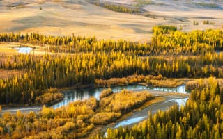 Картинка Алтайская золотая осень