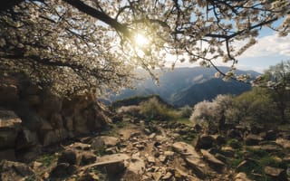 Картинка Весна на Кавказе