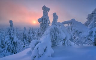 Картинка закат, Лапландия, снежные заносы
