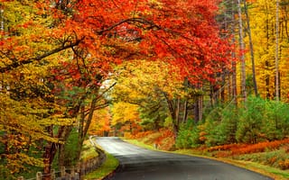 Картинка красивая осень, дорога, лес