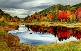 Картинка горы, цвета осени, деревья