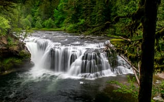 Картинка Лесной водопад в США