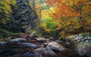 Картинка река, пейзаж, цвета осени