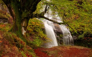 Картинка осень, дерево, водопад