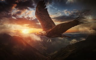 Картинка небо, закат, полёт, горы, птица, Белоголовый орлан, крылья