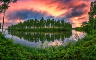 Картинка лето, трава, озеро, деревья, отражение, остров, 