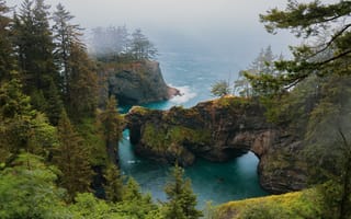 Картинка деревья, пейзаж, скалы, США, океан, туман, природа, Орегон