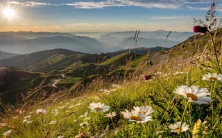 Картинка трава, солнце, горы, высота, цветы, склон, вид, ромашки