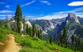 Картинка деревья, California, тропинка, Сьерра-Невада, Yosemite Valley, Sierra Nevada, Калифорния, Yosemite National Park, горы, Йосемитский национальный парк, Долина Йосемити
