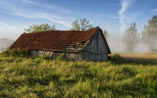 Картинка поле, дом, туман, лето