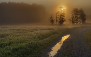 Картинка дорога, туман, закат