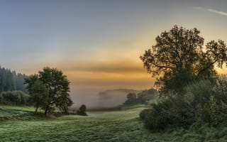 Картинка поле, закат, дерево