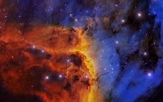 Картинка Туманность Пеликан, мироздание, созвездие, космос