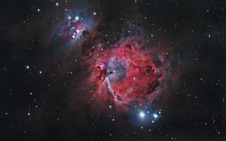 Обои туманность Ориона, звезды, звёздное скопление